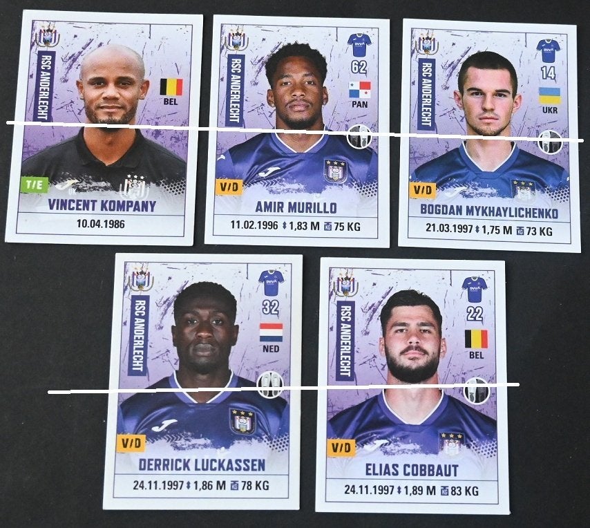 Panini Pro League 2020-2021 RSC Anderlecht/13 autocollants, Collections, Envoi, Neuf, Affiche, Image ou Autocollant