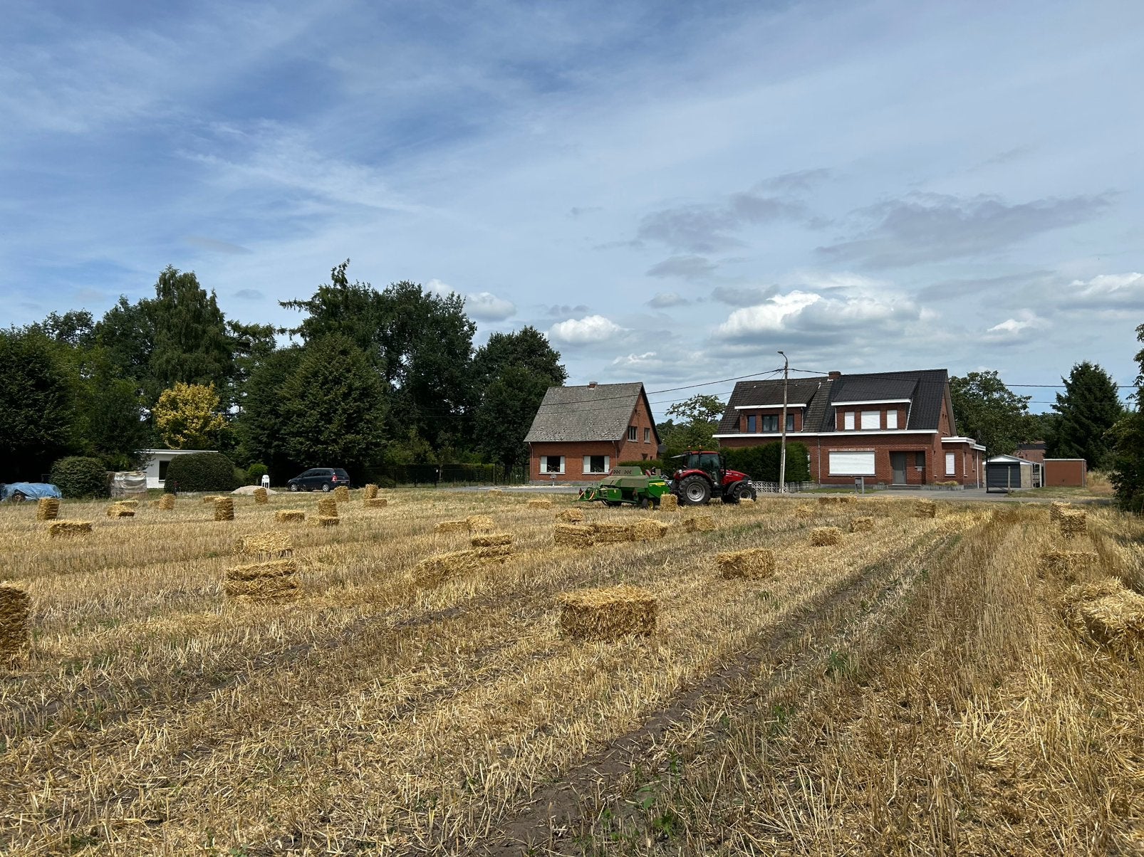 Stro van rogge in kleine pakjes recht van het veld