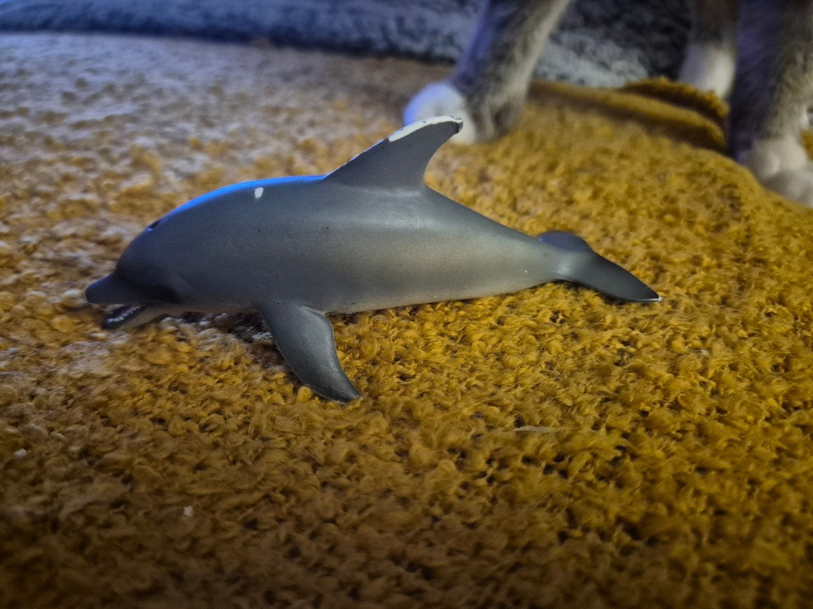 dolfijn schleich, Collections, Envoi