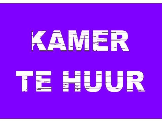 Kamer/co housing gezocht, Immo, Provincie Limburg