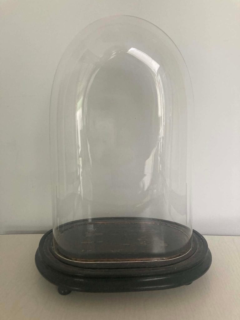 Grote, oude glazen stolp (40 op 22 cm), Ophalen, Gebruikt
