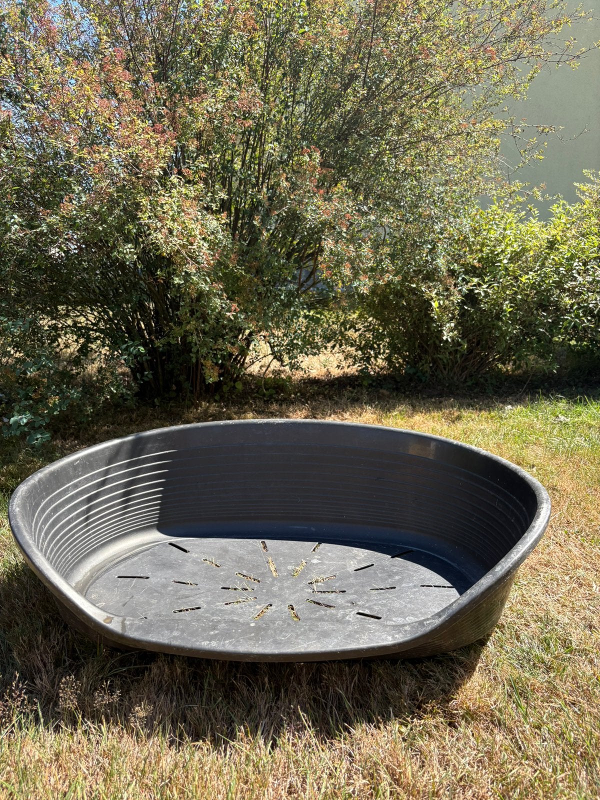 Panier pour chien, Enlèvement, Utilisé