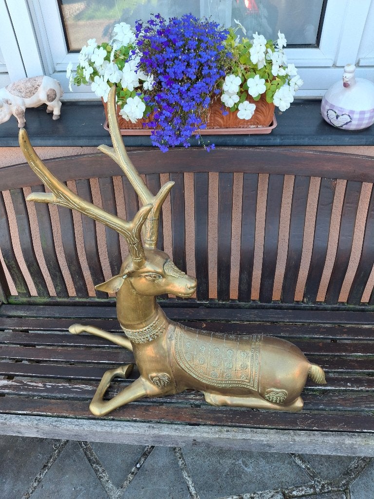 Cerf laiton, Enlèvement, Cerf