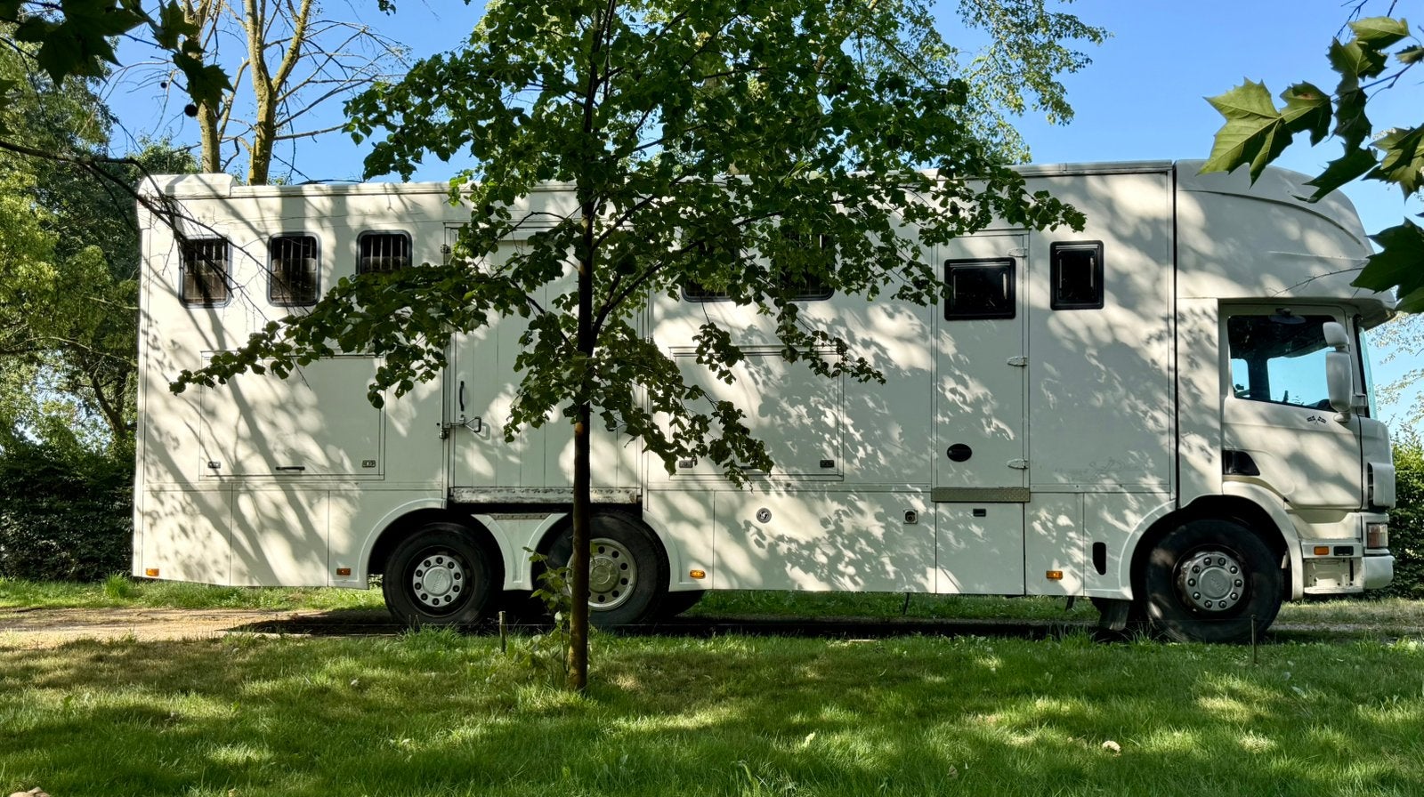 Paardenwagen,     vrachtwagen,     Paardencamion, Auto's, Euro 2, 4 zetels, Beige, Scania