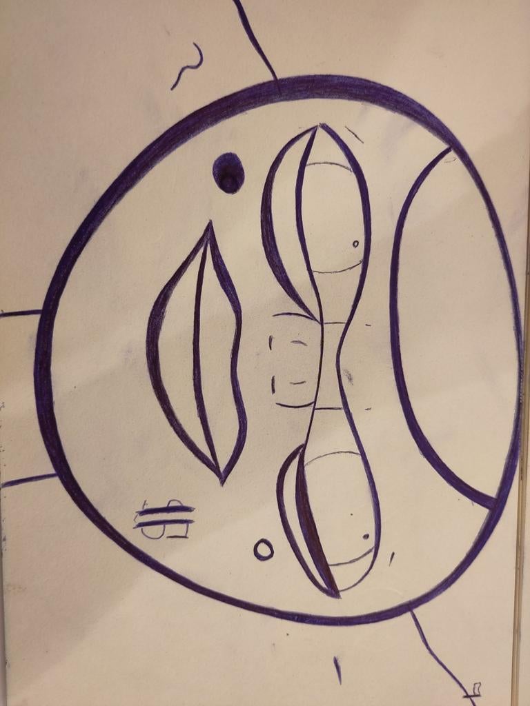 The ski,, Ophalen of Verzenden