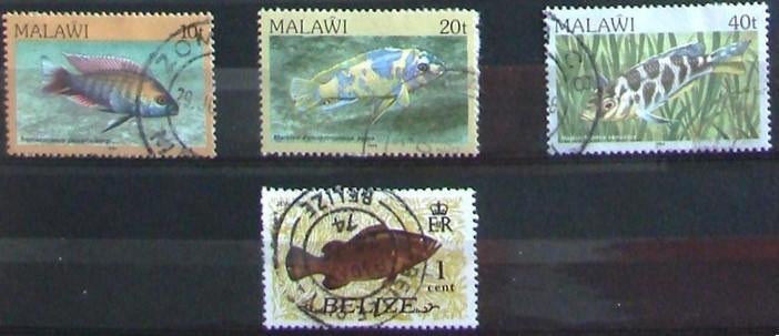 Timbres animaux poissons, Timbres & Monnaies, Envoi, Affranchi
