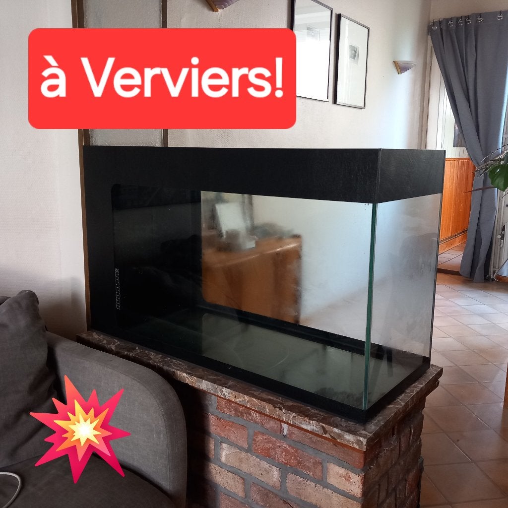 Aquarium de 240 L - à Verviers - enchère!, Ophalen, Inclusief deksel, Gebruikt, Leeg aquarium