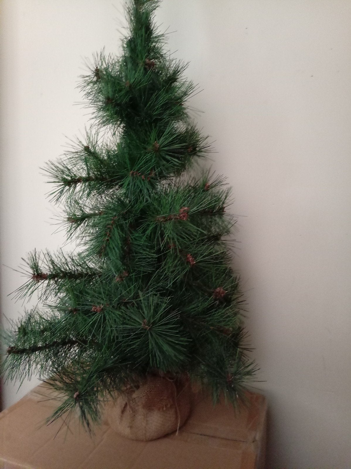 kerstboom, Diversen, Ophalen