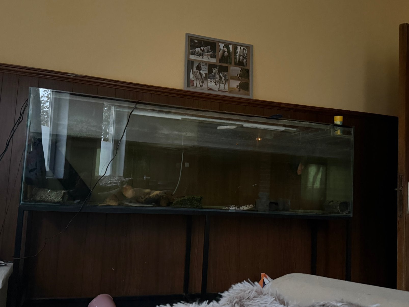 Aquarium met onderstel, Enlèvement, Utilisé, Filter