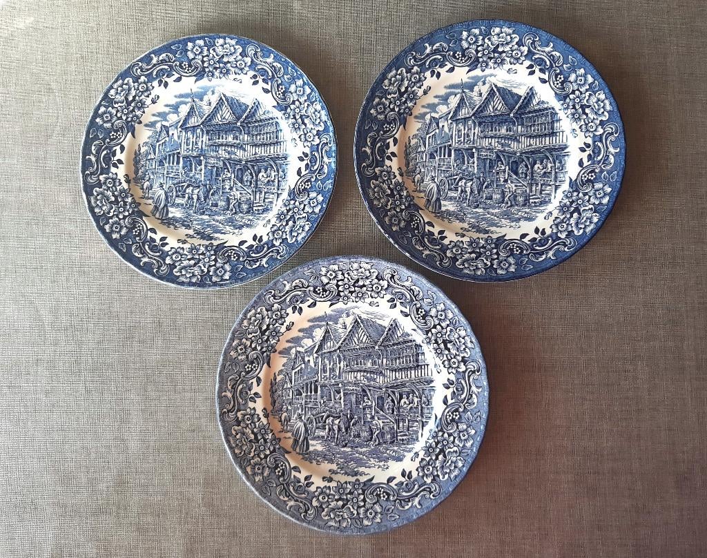 Vintage blauw-witte borden Ironstone Royal Tudor Ware, Ophalen of Verzenden