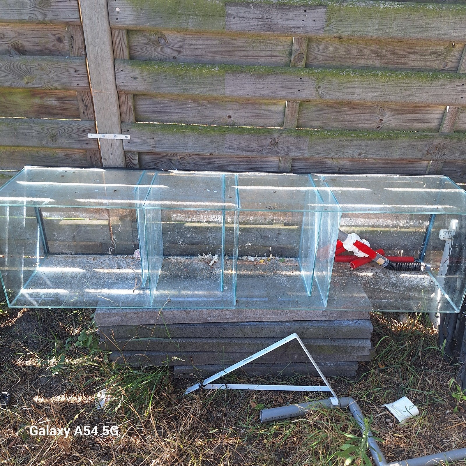 grote sump, Dieren en Toebehoren, Ophalen