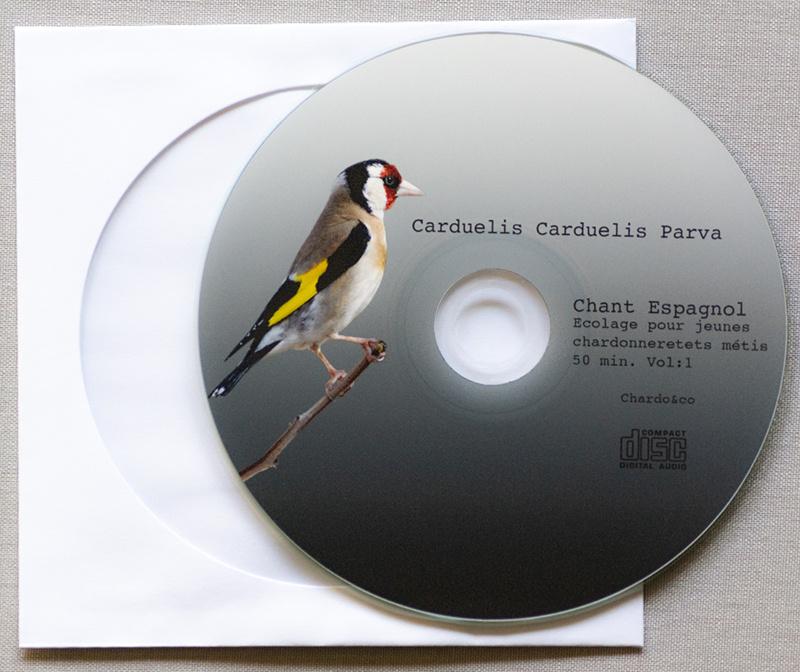 Chanrdonneret, plusieur types de chants, Plusieurs animaux, Oiseau chanteur sauvage, Domestique