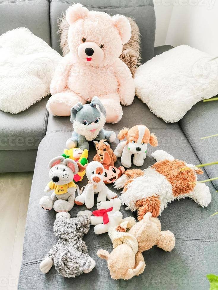 CHERCHE Peluches, Contacts & Messages, Appels Sport, Hobby & Loisirs