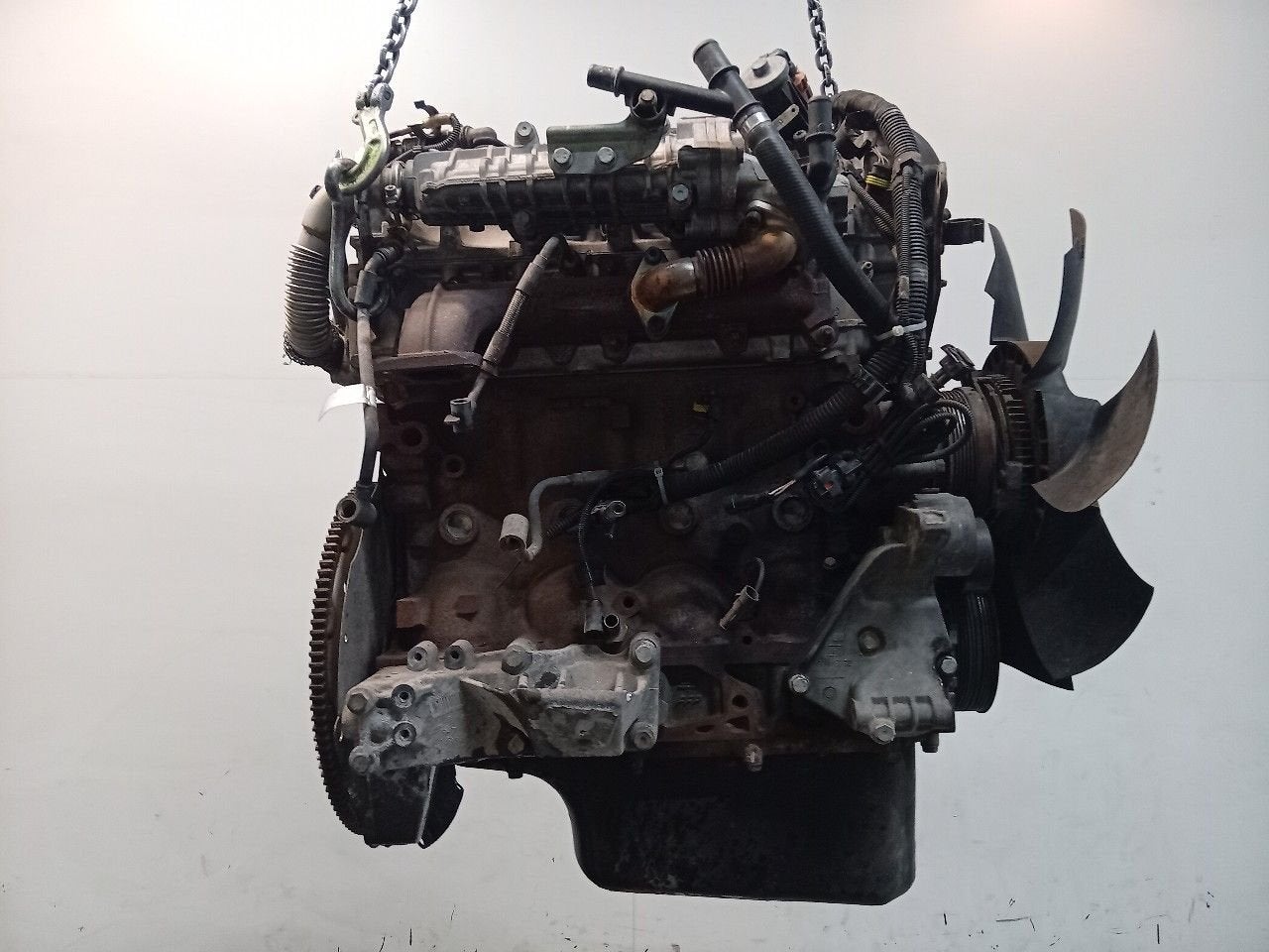 Motor Iveco New Daily, Onderdelen@venauto.nl, Van der Ven Autorecycling B.V., Gebruikt, Ettenseweg 76, 4706 PB Roosendaal, The Netherlands