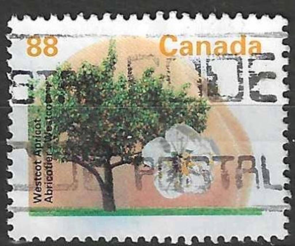 Canada 1994 - Yvert 1358 - Arbres fruitiers canadiens (ST), Envoi, Affranchi