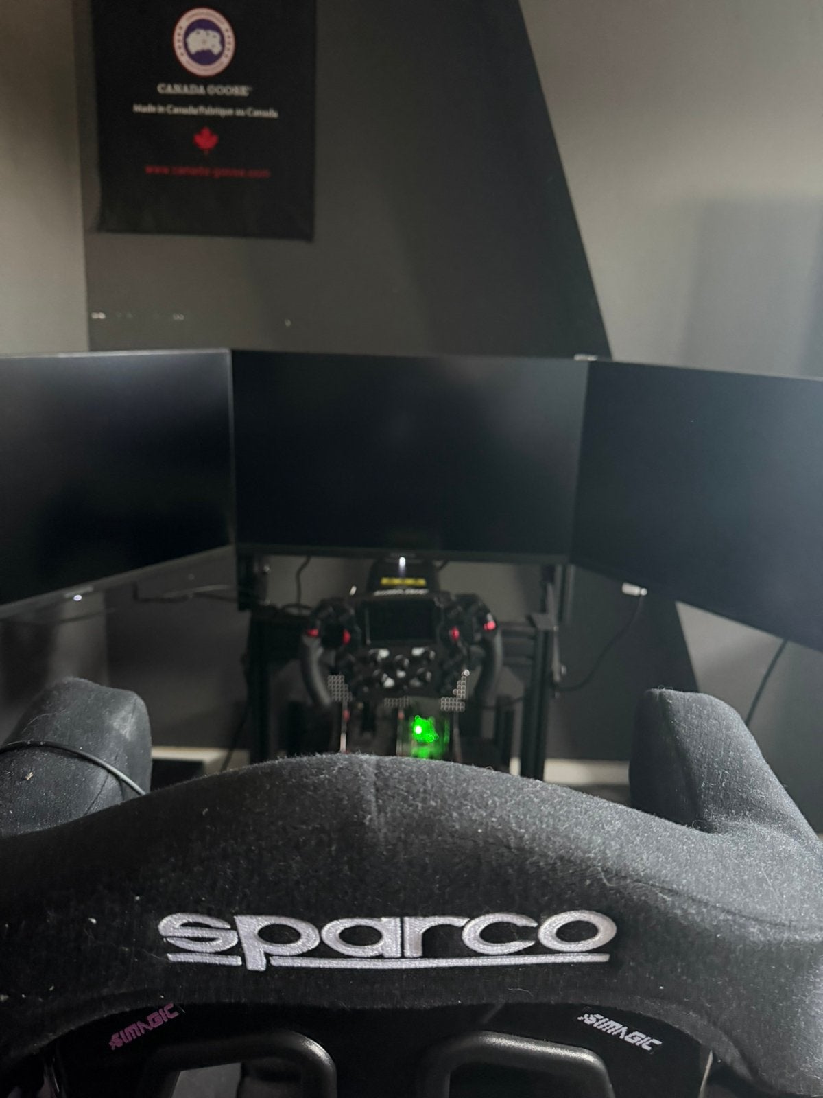 volledige race sim, Consoles de jeu & Jeux vidéo, Jeux | PC, Enlèvement, Comme neuf, Simulation