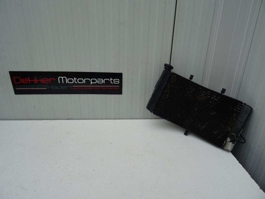 Radiateur / Radiator Honda CBR900RR Fireblade 1996-1997 SC33, Motos, -, Utilisé, -, -
