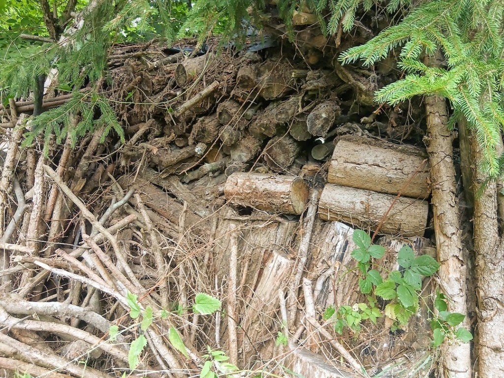 Bois chauffage à donner, 6 m³ ou plus, Enlèvement, Autres essences de bois, Bûches