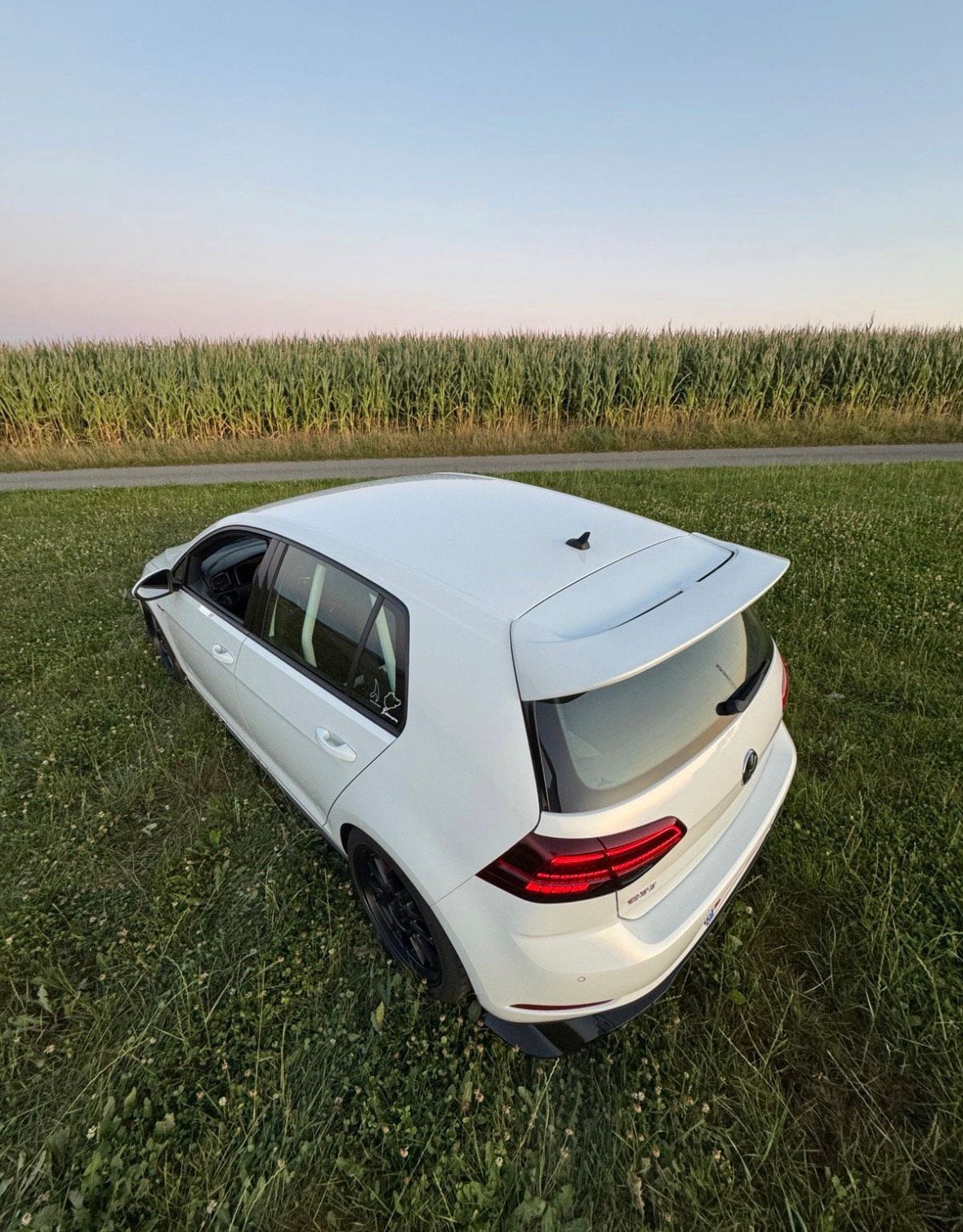 VW Golf 7 GTI Performance, 4 cilinders, 1984 cc, Overige bekleding, 1445 kg