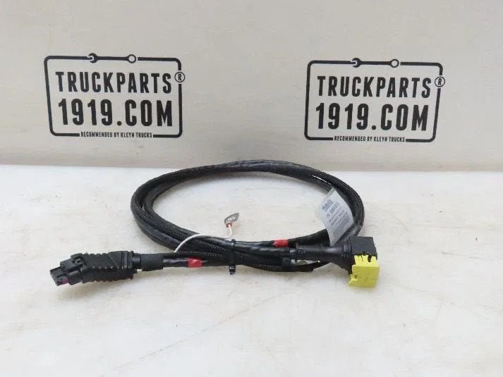DAF 2124968 Kabelboom ECU BEM, Auto-onderdelen, Vrachtwagen-onderdelen, Ophalen, Gebruikt, DAF, Elektronica en Kabels