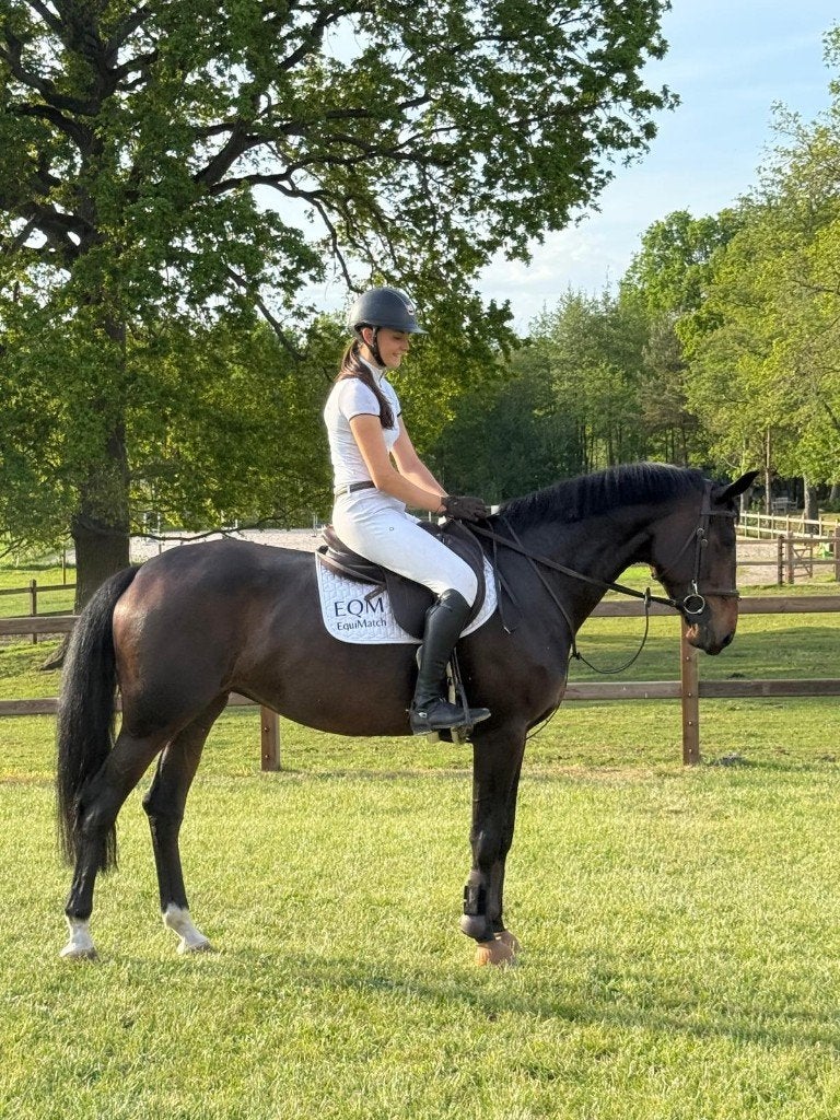 Merrie met winnaarsmentaliteit, Merrie, Springpaard, Met stamboom, M