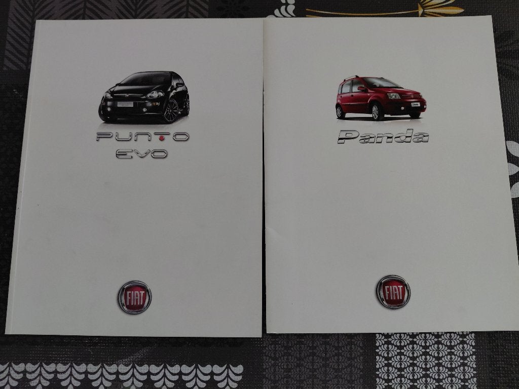 2 Brochures Fiat (Punto Evo+Panda), Ophalen of Verzenden, Zo goed als nieuw, Overige merken, Fiat