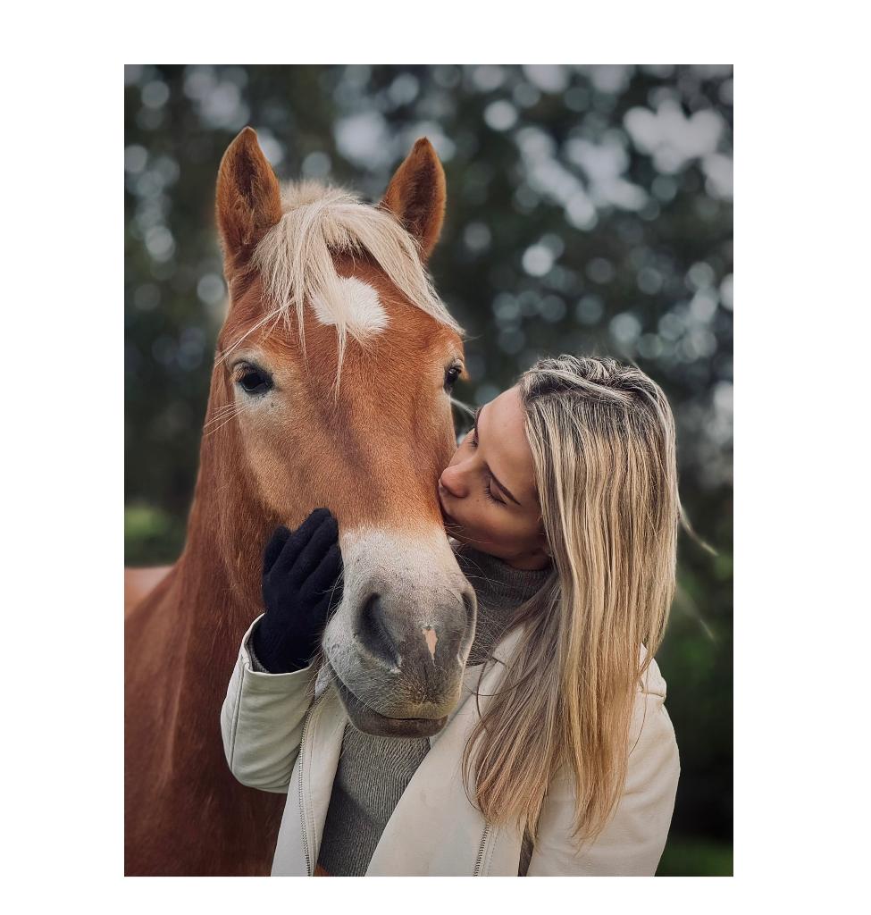 Halvestal/ verzorgpaard aangeboden, Minder dan 160 cm, Ruin, Zadelmak, 3 tot 6 jaar