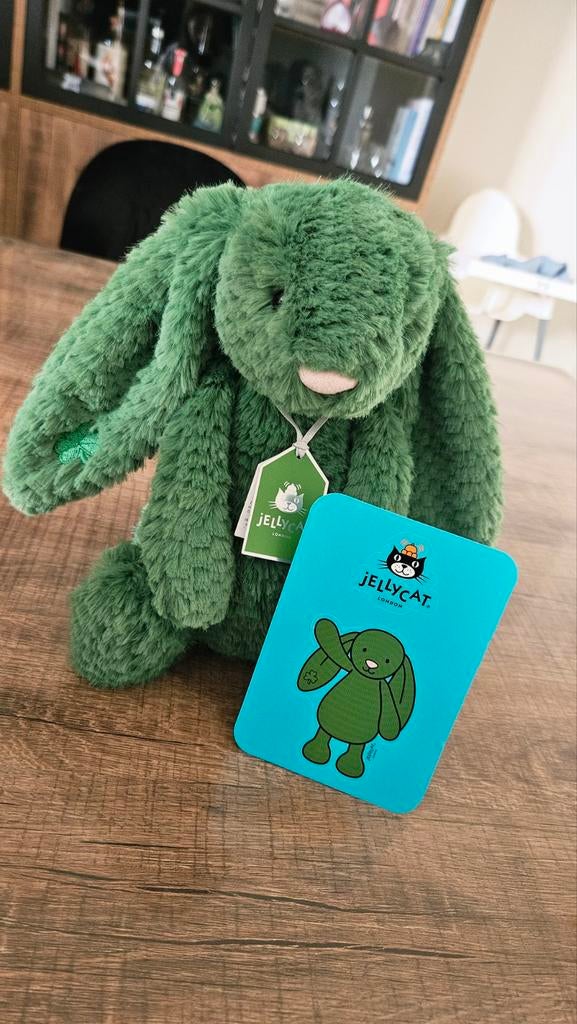 Lapin Blathnaid exclusif à Jellycat  Brown Thomas/Arnotts, Collections, Ours & Peluches, Enlèvement ou Envoi, Neuf, Ours en tissus
