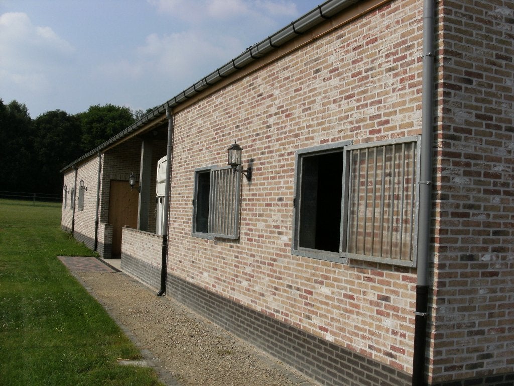 Stalling met weidegang - Herenthout - Vanaf 1 oktober, Mise à l'étable, 1 cheval ou poney