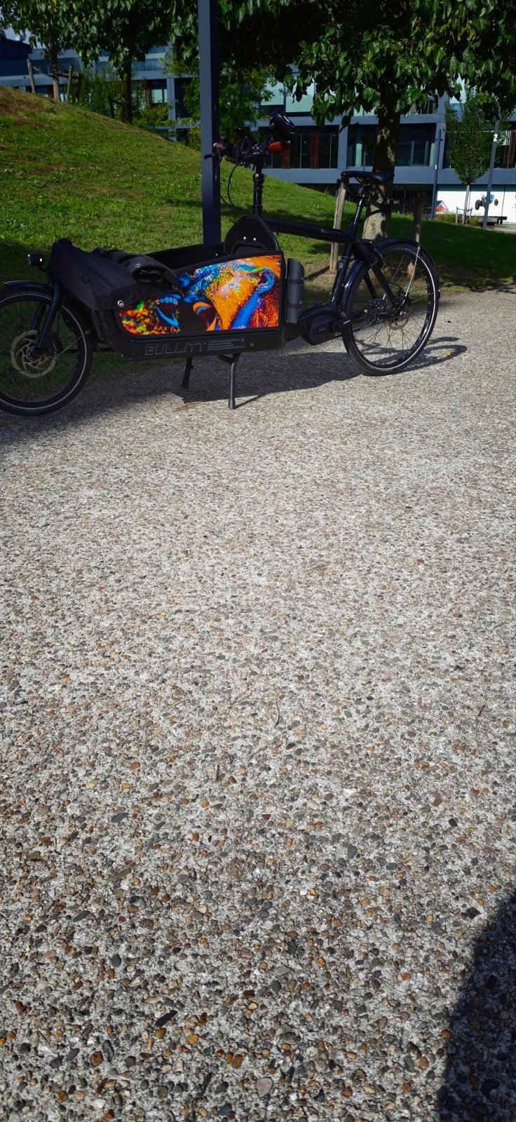Larry vs harry e bullitt full black, Fietsen en Brommers, Ophalen