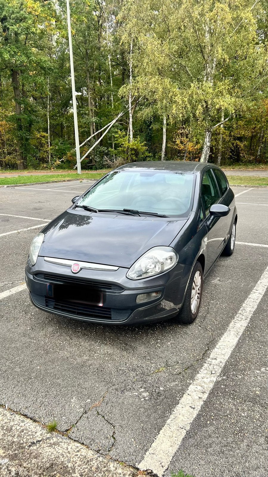 Fiat punto 1.2, Autos, Argent ou Gris, Achat, Euro 6, Boîte manuelle
