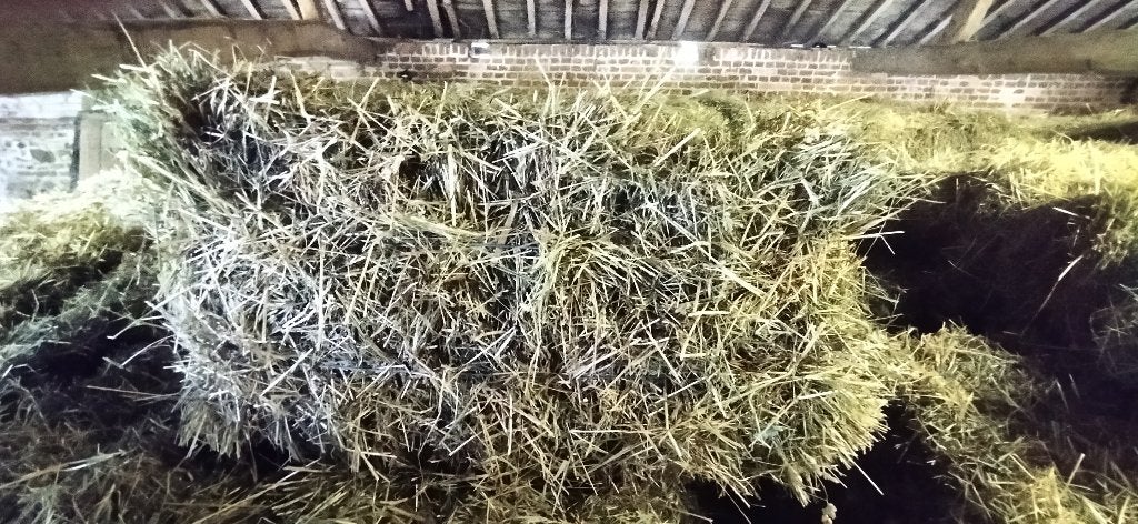 Petits ballots de foin et paille, Articles professionnels, Agriculture | Aliments pour bétail, Enlèvement