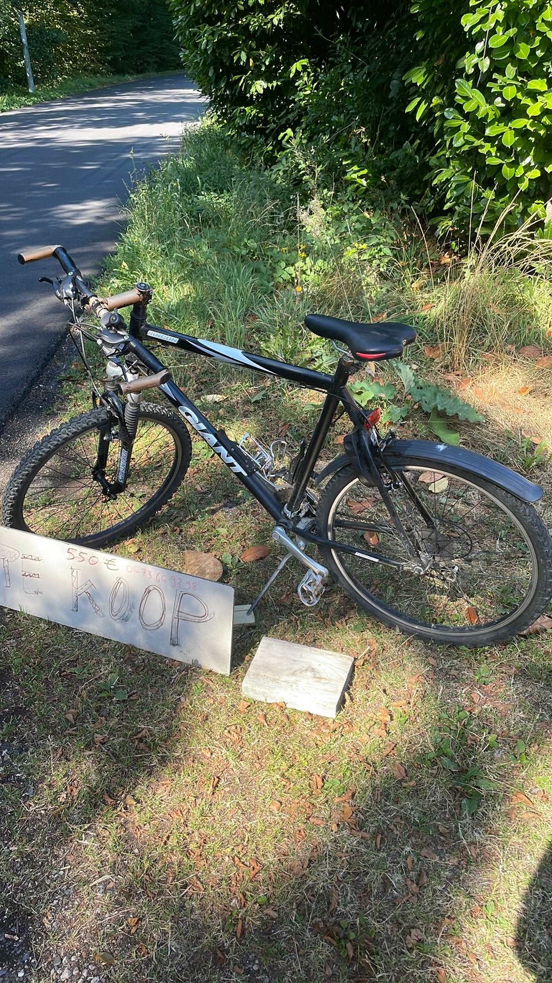 Mountainbike, Fietsen en Brommers, Ophalen, Giant