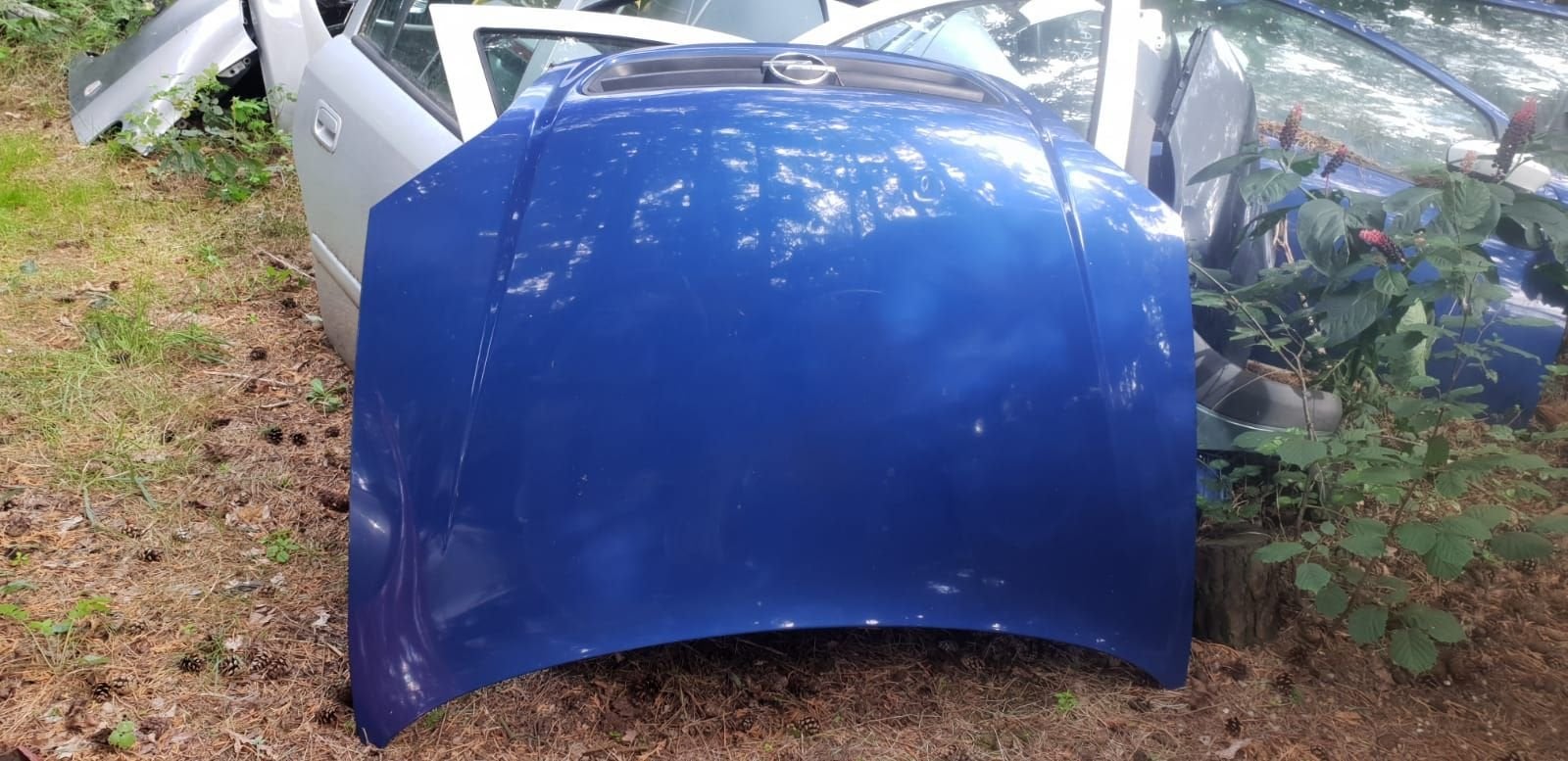 OPEL ASTRA G MOTORKAP BJ 98 TOT 2004, -, Utilisé, -, Capot moteur