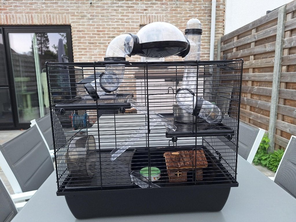 Kooi voor knaagdieren, Kooi, Gebruikt, Minder dan 75 cm, Muis
