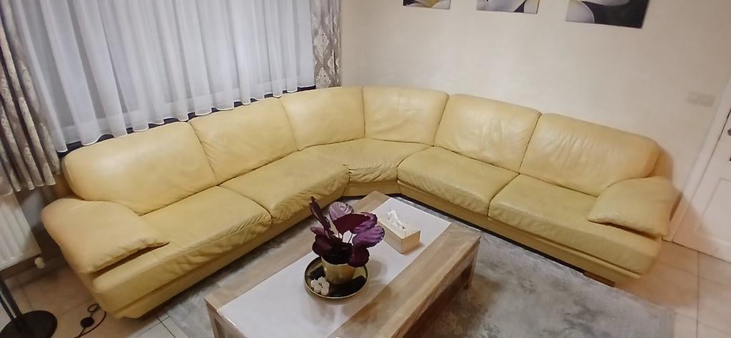 Natuzzi hoekzetel leer, Ophalen