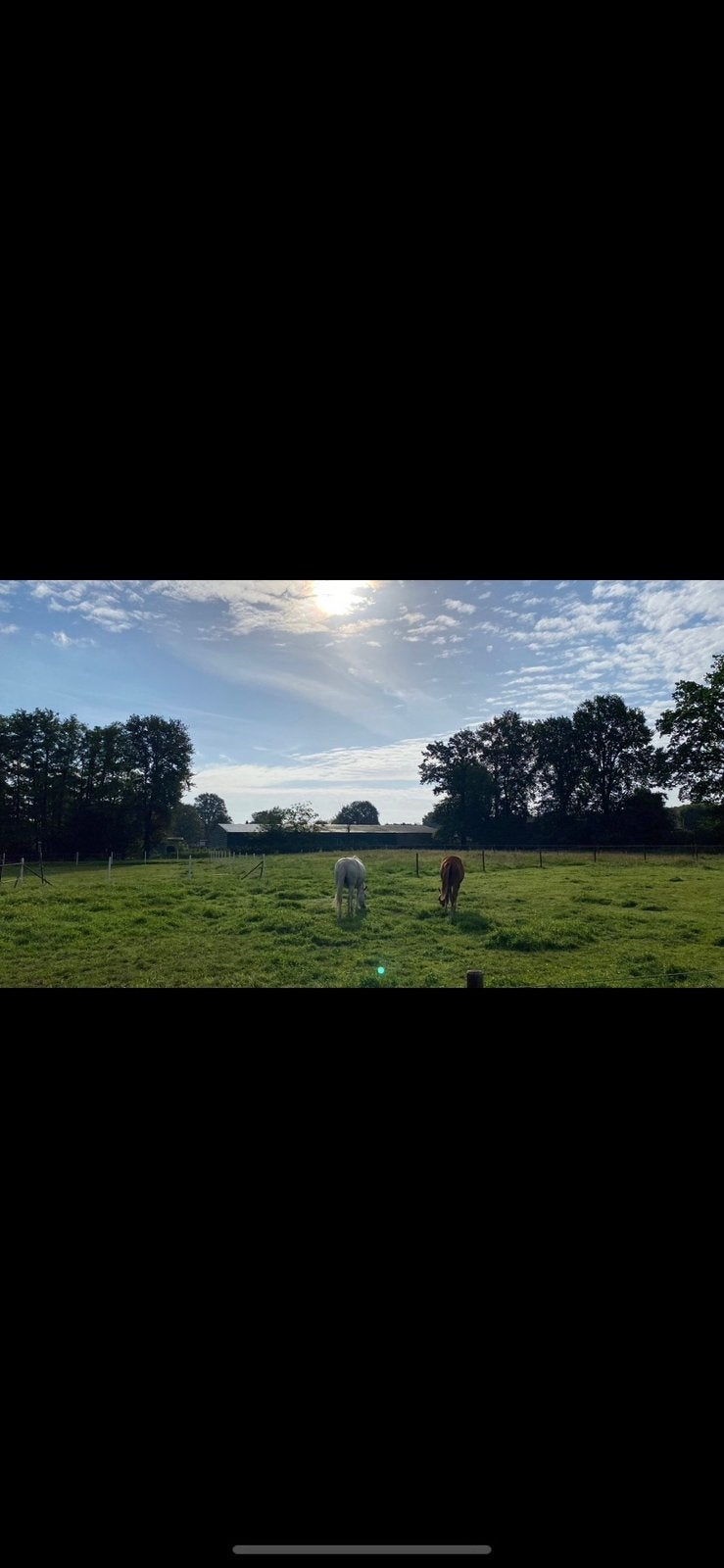 Weidegang met inloopstal, Dieren en Toebehoren, Weidegang