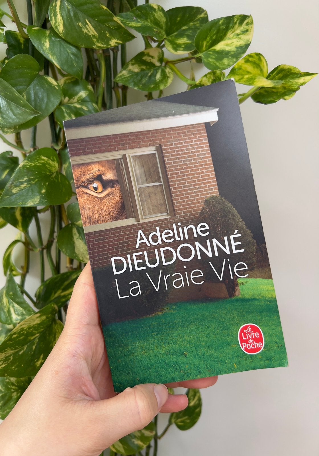 La Vraie Vie, Adeline Dieudonné, Hobby & Loisirs créatifs, Timbres épargne, Enlèvement ou Envoi