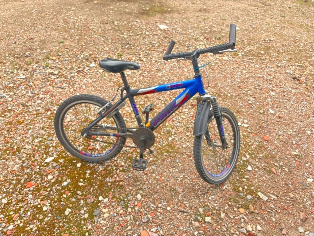 Kinderfiets 20 inch met werk, Fietsen en Brommers, Ophalen