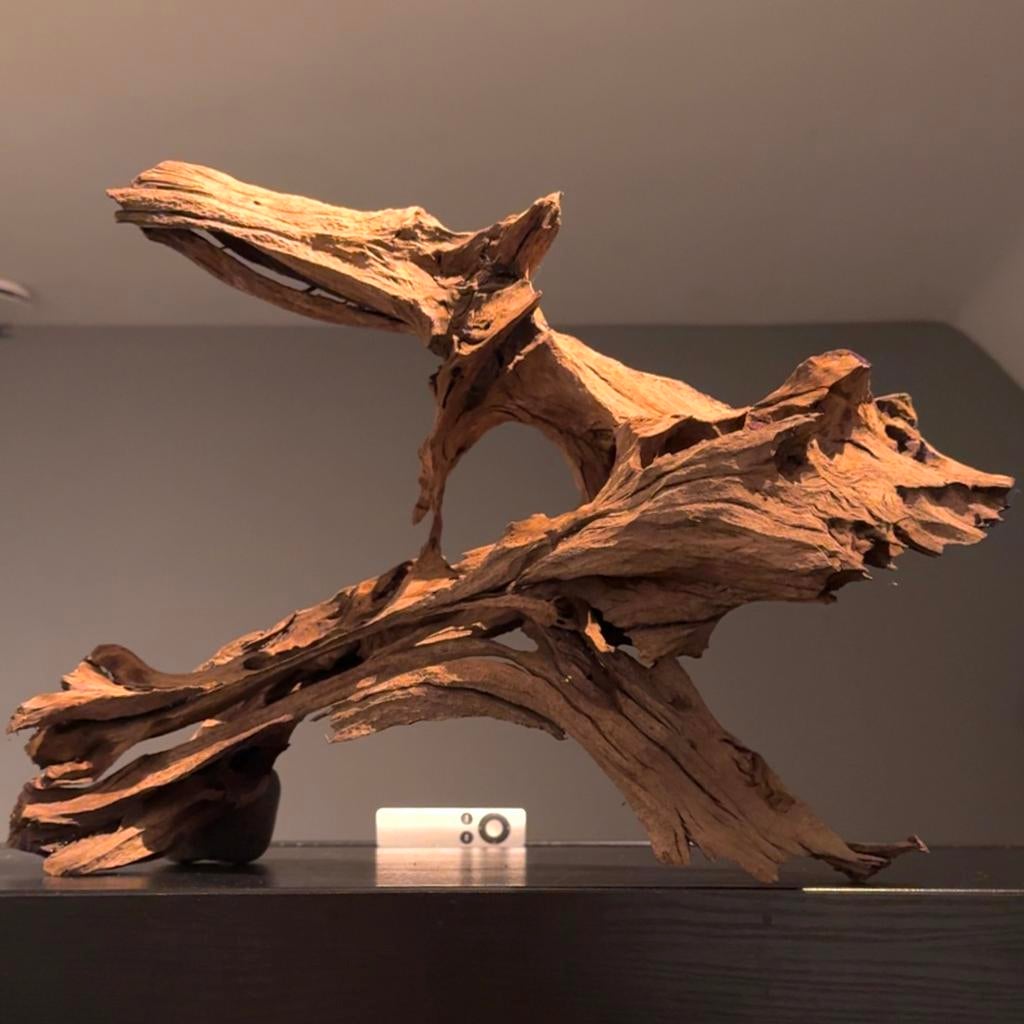 50 Stukken Kienhout / Driftwood / Spiderwood, Hout Decoratie, Ophalen of Verzenden, Decoratie