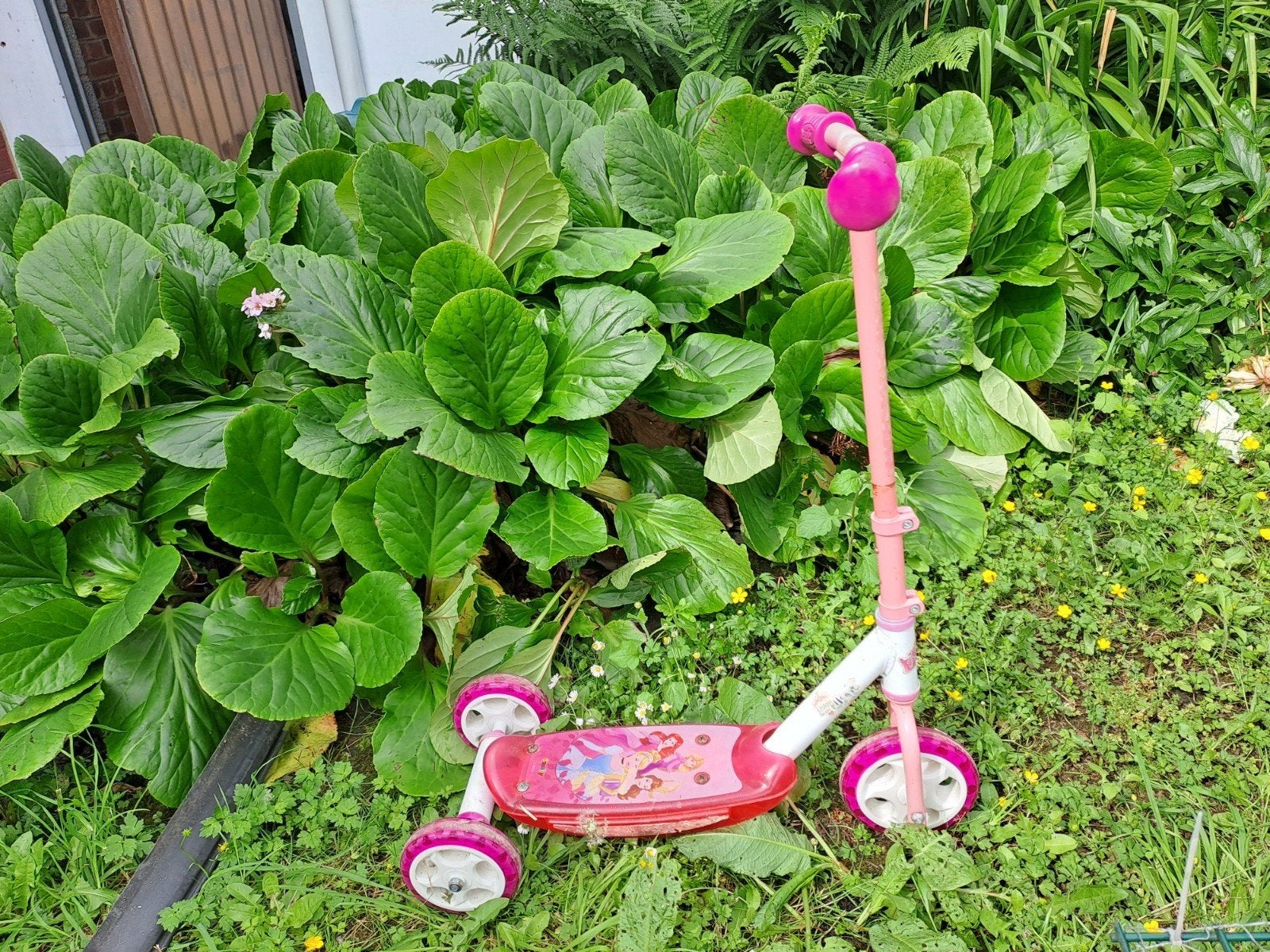 Trotinette Disney, Ophalen, Gebruikt