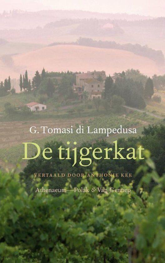 Te Koop Boek DE TIJGERKAT G.Tomasi di Lampedusa, Boeken, Romans, Zo goed als nieuw, Europa overig, Ophalen of Verzenden