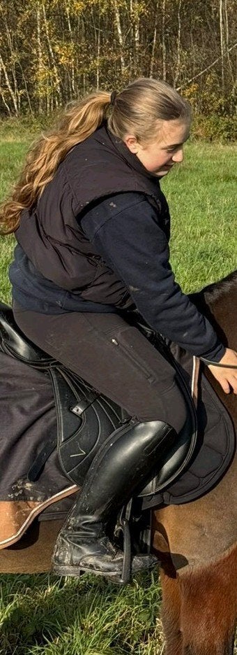 Verzorgpaard gezocht!, Dieren en Toebehoren, Paarden