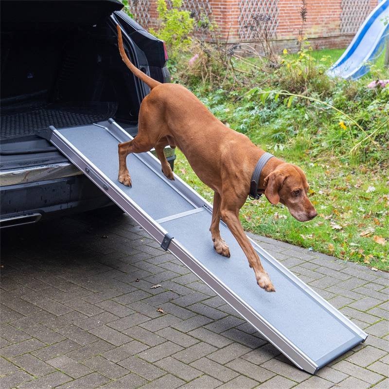 Rampe d’acces telescopique pour chien, Enlèvement, Utilisé