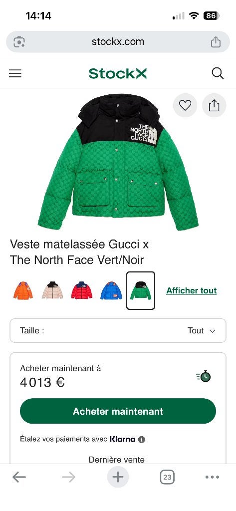 Veste matelassée Gucci x The North Face Vert/Noir, Vêtements | Hommes, Enlèvement ou Envoi, Comme neuf, Vert, Gucci