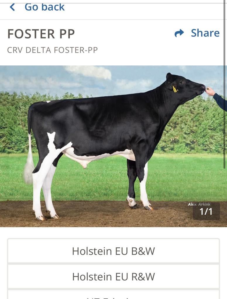 Crv Rietjes Sperma, Dieren en Toebehoren