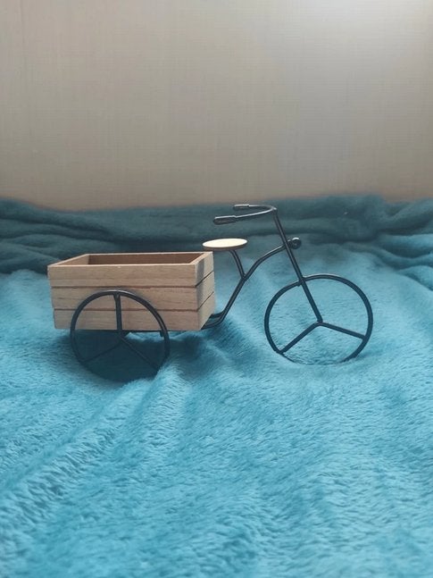 Decoratie fiets bak mand achteraan opberg plant, Enlèvement, Utilisé, Autres types