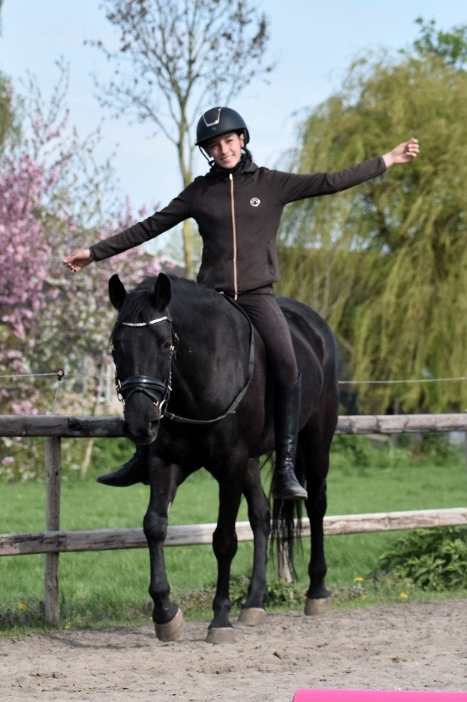 ## SUPER MAKKE, hele brave & rustige familie Epony ##, Dieren en Toebehoren, Merrie, E pony (1.48m - 1.57m), Met stamboom, 3 tot 6 jaar