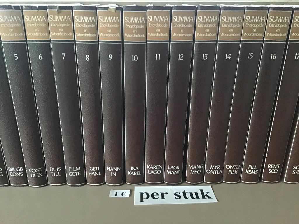 ENCYCLOPEDIE EN WOORDENBOEK SUMMA : 20 delig, Boeken, Ophalen of Verzenden, Zo goed als nieuw
