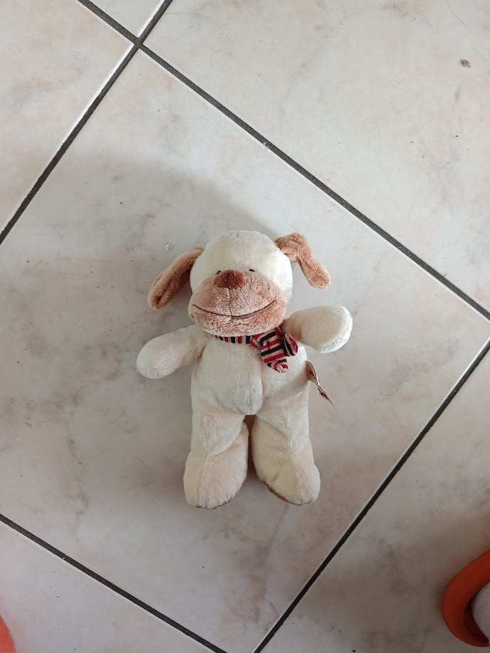 knuffel nicotoy hond (doos mei 2026), Ophalen of Verzenden, Nieuw, Hond, Nicotoy